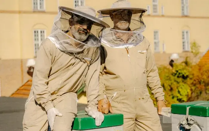 Copenhagen beekeepers put community at the centre of their work