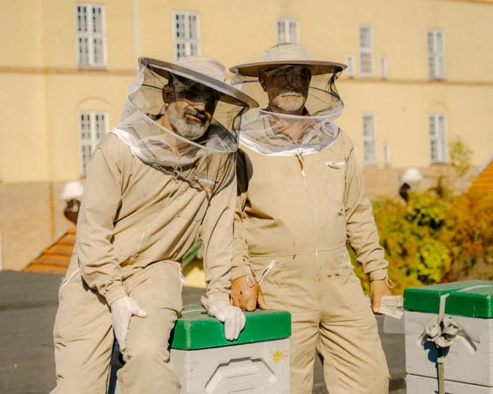 Copenhagen beekeepers put community at the centre of their work